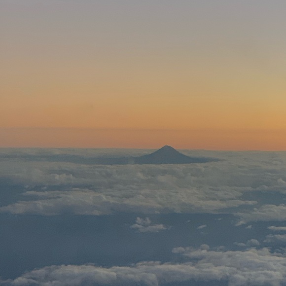 Meet your Posher, Tati - Picture 1 of 1